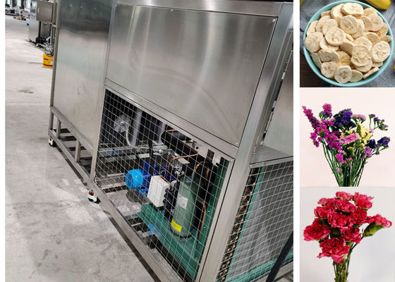 200 kg Macchine per l'asciugatura e il congelamento degli alimenti Sistema di refrigerazione Leybold