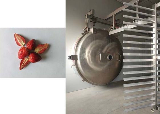 Precisione 1000 kg Secchetto industriale per congelamento Soluzione di asciugatura superiore per prodotti industriali