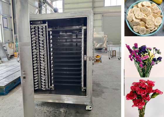100 kg 200 kg alimenti industriali verdura freezer asciugatrice macchine attrezzature versatili