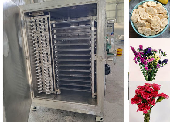 18-22 ore/ lotto Seccatura a congelamento automatico per vegetali Seccatore a congelamento di grado professionale