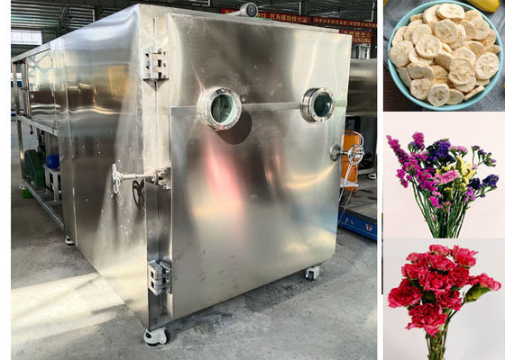 Macchina per asciugatrice a congelamento per alimenti e verdure su misura con riscaldamento elettrico