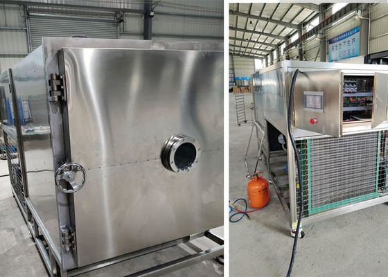 Macchine elettriche per il riscaldamento a vuoto e per l'essiccazione mediante congelamento 100 kg 200 kg/ lotto