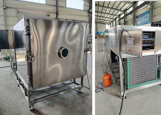 50kg100Kg Macchina aspiratrice Liofilizzatore alimentare Lio-seccatrice