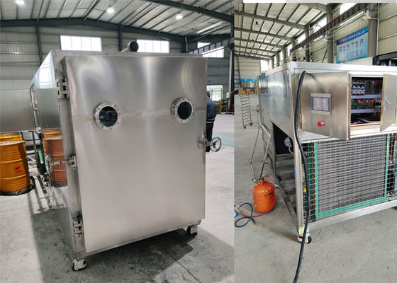 50 kg Capacità Liofilizzatore alimentare Liofrizzatore essiccatore di vapore Condensatore -45C
