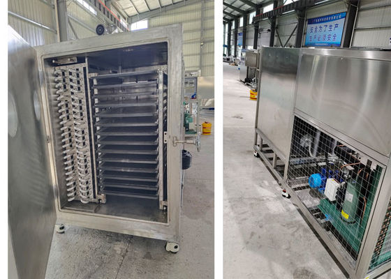 50kg 100Kg 200Kg Capacità Liofilizzatore Asciugatrice congelatrice Macchina da vuoto