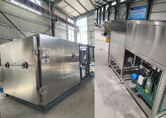 50 kg 100 kg Liofilizzatore industriale