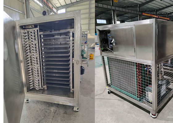 Liofilizzatore industriale Macchina di lievitazione e asciugatura Bitzer Sistema di refrigerazione