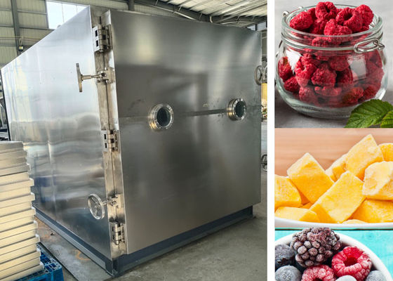 PLC controllata macchina di lievitazione a vuoto Liofilizzatore asciugatrice 200Kg
