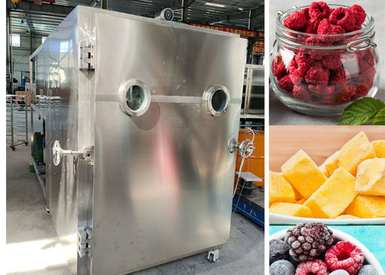Liofilizzatore controllato PLC con tempo di asciugatura efficiente
