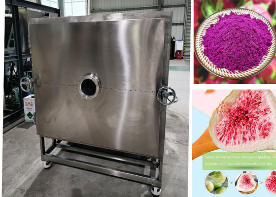 Diy Stayfresh Freeze Dryer con sistema di controllo PLC