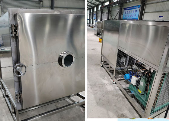 100 kg di Diy Stayfresh con condensazione a -45°C