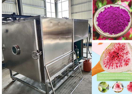 100 kg / lotto Stayfresh Freeze Dryer con sistema di raffreddamento ad aria