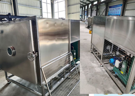 Caldaia elettrica a vuoto Stayfresh Freeze Dryer Machine In 304 SUS