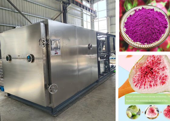 Asciugatrice a congelamento controllata PLC da 100 kg per asciugatrice a congelamento rapida