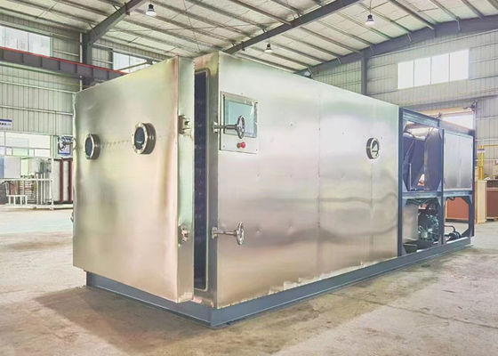 Compatto fai-da-te Stayfresh Freeze Dryer aspiratore Liofilizzatore