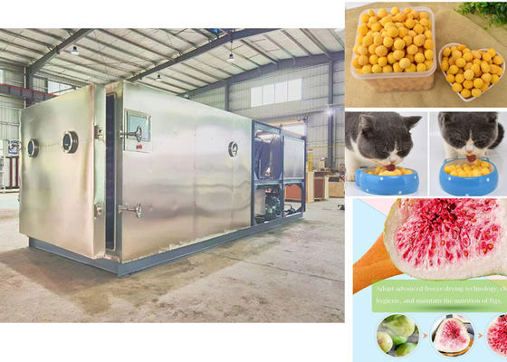 Macchina di lievitazione a vuoto di design compatto Liofilizzatore