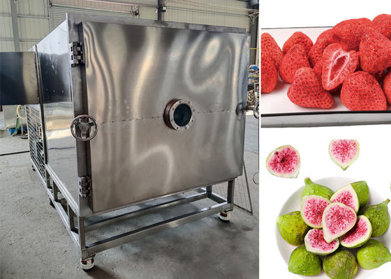 Calore elettrico alimenti asciugatrice a vuoto -40°C~-80°C Sistema Bitzer