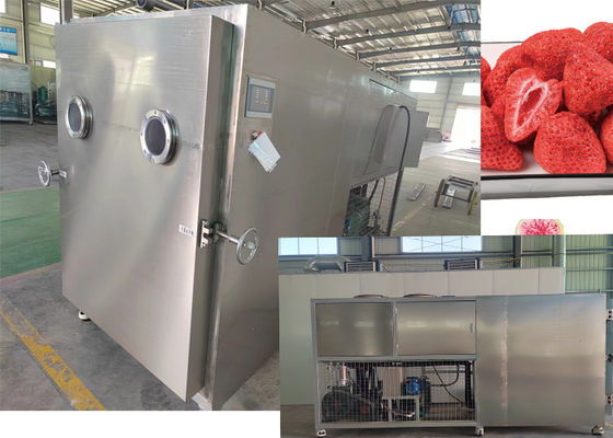 Liofilizzatore con pompa industriale
