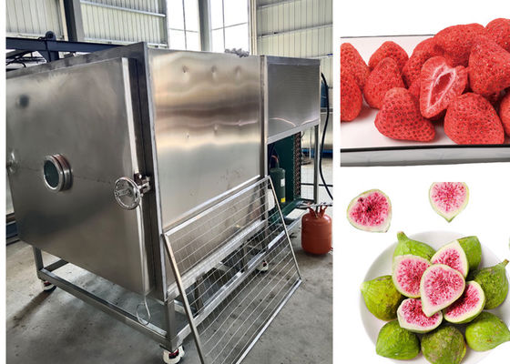 300 kg/ lotto Grandi prodotti alimentari aspiratori a congelamento per asciugatura controllato PLC