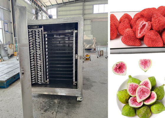 Controllo a distanza PLC Secchiatrice a vuoto per alimenti per il processo di asciugatura