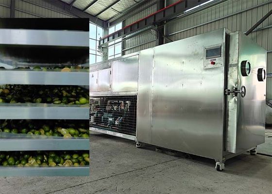 Potente sistema di refrigerazione Bitzer / Leybold Freeze Dryer per frutta