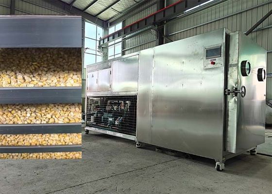 Macchine per l'essiccazione dei prodotti alimentari e dei frutti
