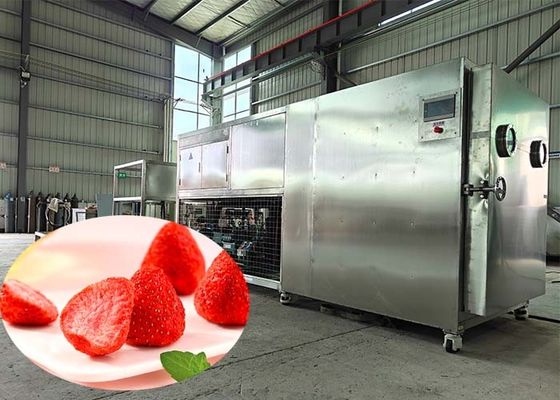 Asciugatrice di liofilizzatori industriali per l'industria farmaceutica