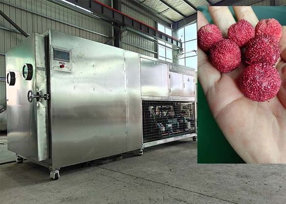 Macchina per asciugatura a vuoto a congelamento controllata PLC 30-35 kg/ lotto