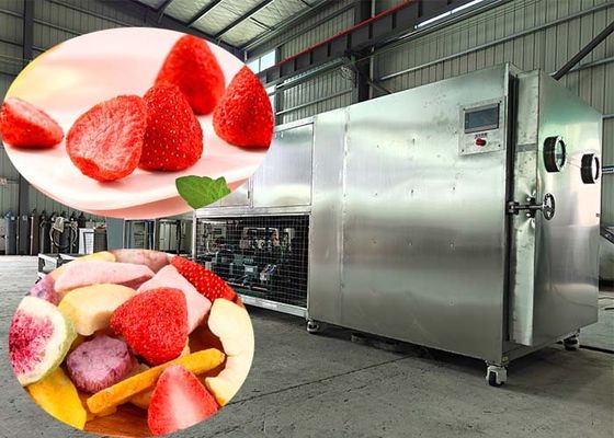 100 kg/ lotto Liofilizzatore con controllo PLC