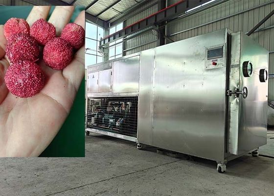 200 kg Intelligent Food Lyophilizer Freeze Drying Machine