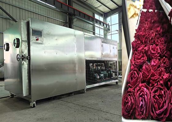 200 kg 500 kg Macchina Liofilizzatrice a grandi capacità