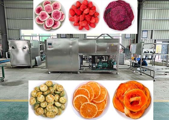 OEM / ODM Food Vacuum Freeze Dryer Esperienza prestazioni di freeze-drying senza pari