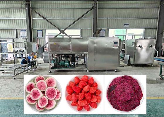 Efficienza Dehidratore di congelamento professionale con trappola a freddo -40°C