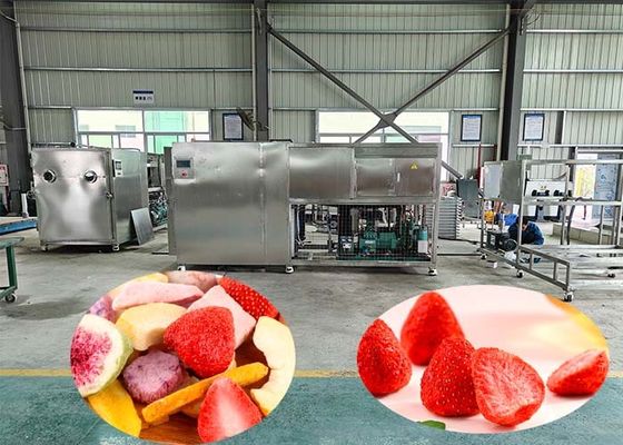 100 kg per lotto macchina di liofilizzazione industriale con 60dB