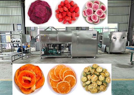 Macchina liofilizzatrice a vuoto 10Pa con controllo PLC