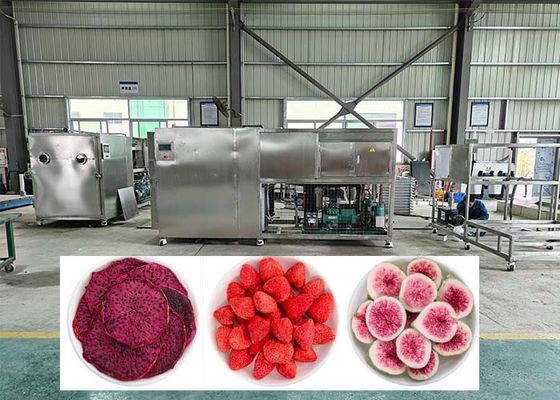38KW riscaldamento elettrico scongelazione liofilizzatore Freeze Dryer Machine