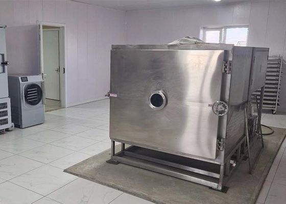Rivoluzionare il processo di asciugatura delle verdure con l'asciugatrice a congelamento delle verdure