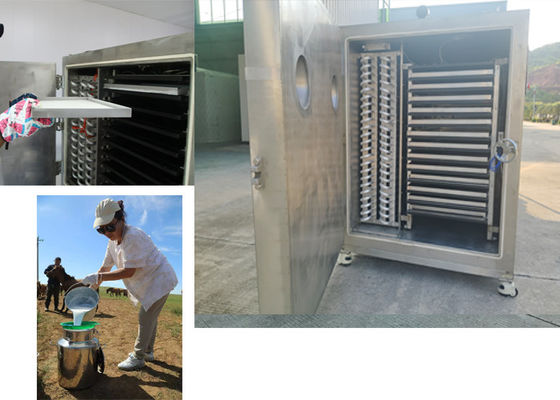 Asciugatrice a congelamento per ortaggi industriali con sistema di controllo PLC