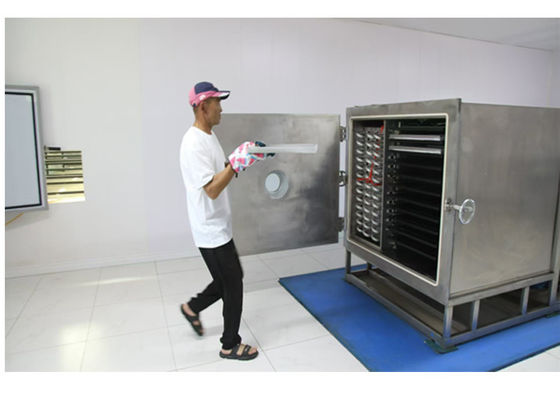 Modalità di funzionamento automatico 100 kg asciugatrice a congelamento di verdure per asciugatura rapida