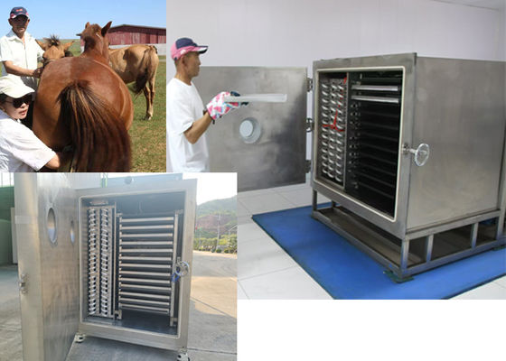 Asciugatrice a vuoto per vegetale con unità di refrigerazione