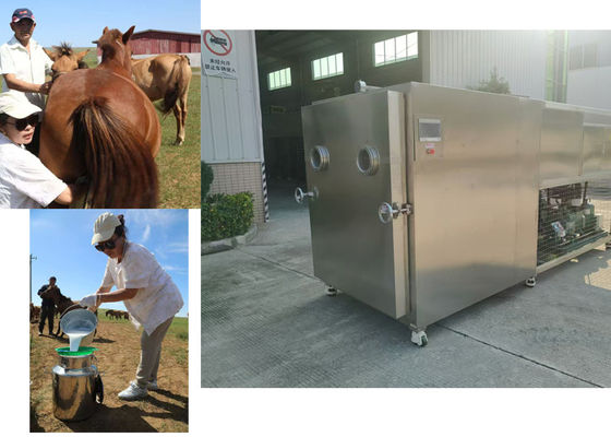 Macchina per l'asciugatura a congelamento per ortaggi industriali da 100 kg 10KW/h