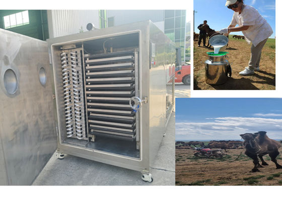 Macchina di congelazione di frutta secca con sistema di refrigerazione Bitzer