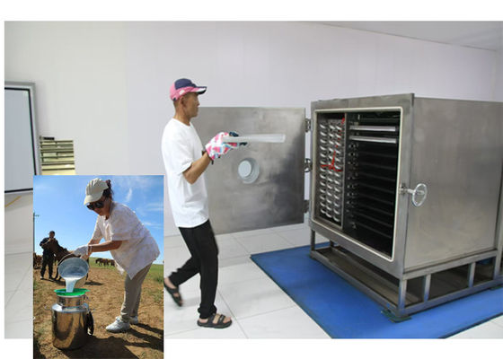 Asciugatrice di cibo raffreddata ad aria con sistema di refrigerazione Leybold