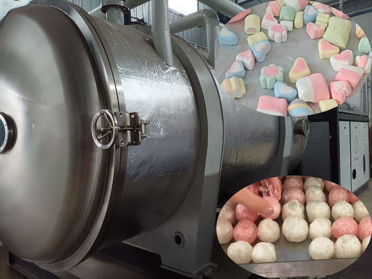 500 kg Liofilizzatore a larga scala per la lavorazione alimentare