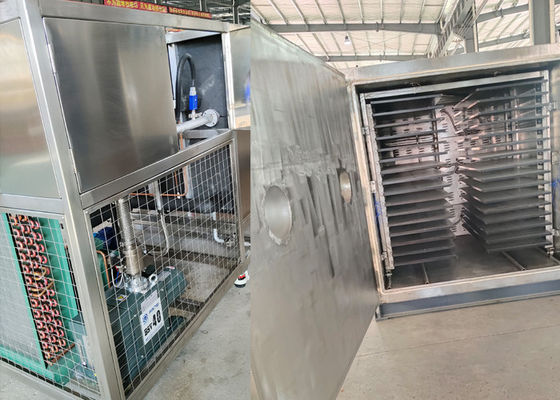 Grandi asciugatrici a vuoto per alimenti per uso industriale