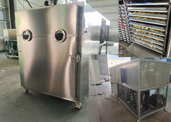 Secchiatrici industriali a vuoto per prodotti alimentari di grandi dimensioni per l'essiccazione a congelamento di precisione