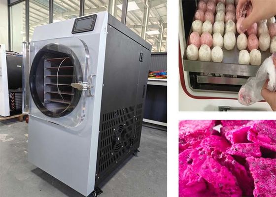 Sistema di controllo PLC 304 acciaio inossidabile Freeze Dryer Machine per uso domestico