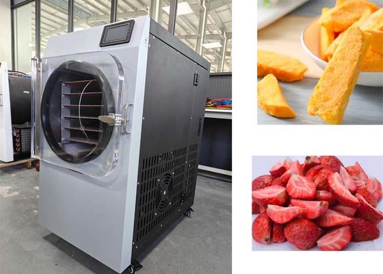 Potente Macchinetta per l'asciugatura a congelamento di 2000W Perfetta per l'asciugatura a congelamento