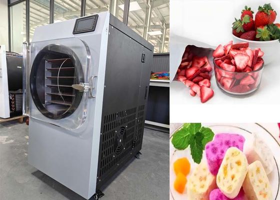 Sistema di vuoto Bitzer Piccolo asciugatore per la casa per l'industria farmaceutica