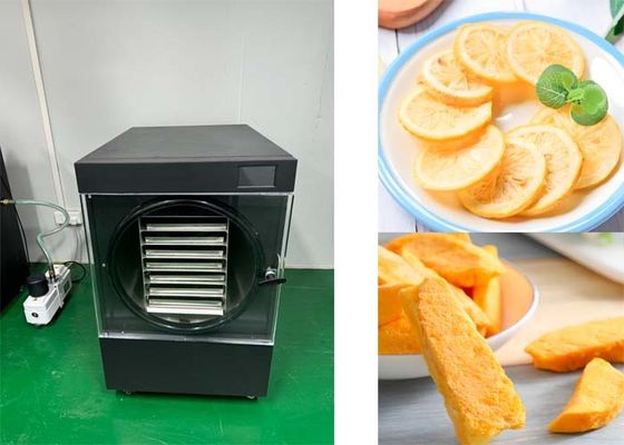 10 ~ 20 kg  sistema di refrigerazione Freeze-dryer per uso domestico